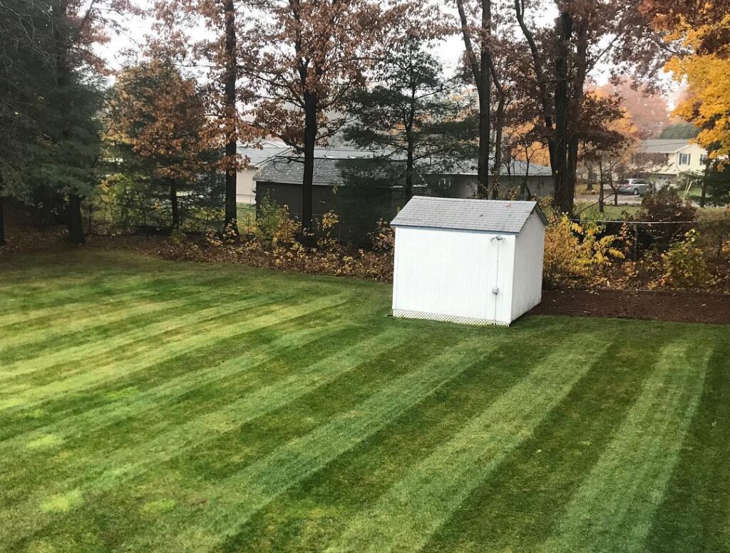 A lawn with a shed in the middle of it.