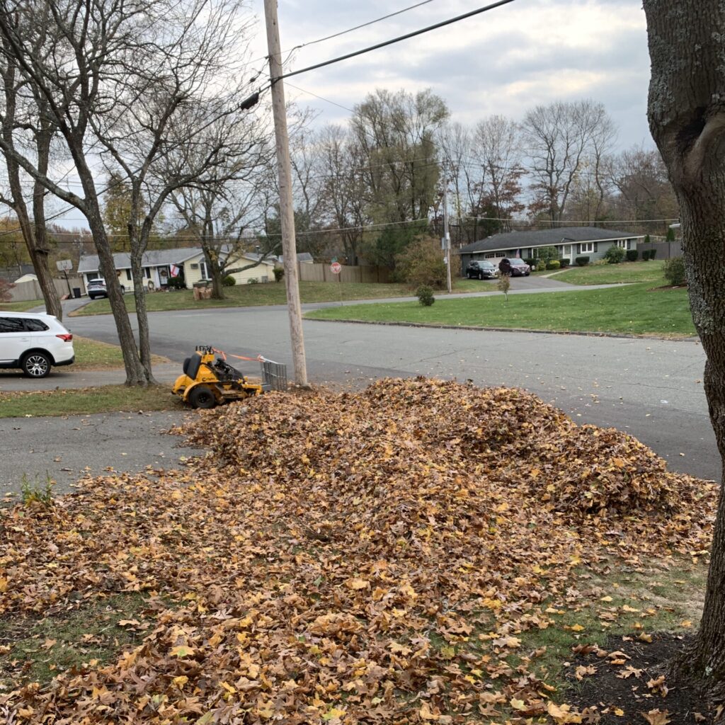 A pile of leaves on the side of the road.