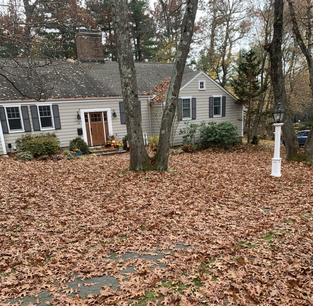 A house with a lot of leaves on the ground.