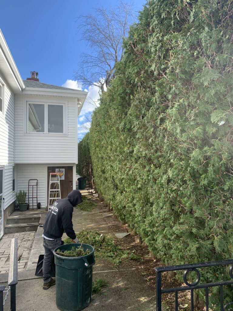 A man cutting down a hedge in front of a house.