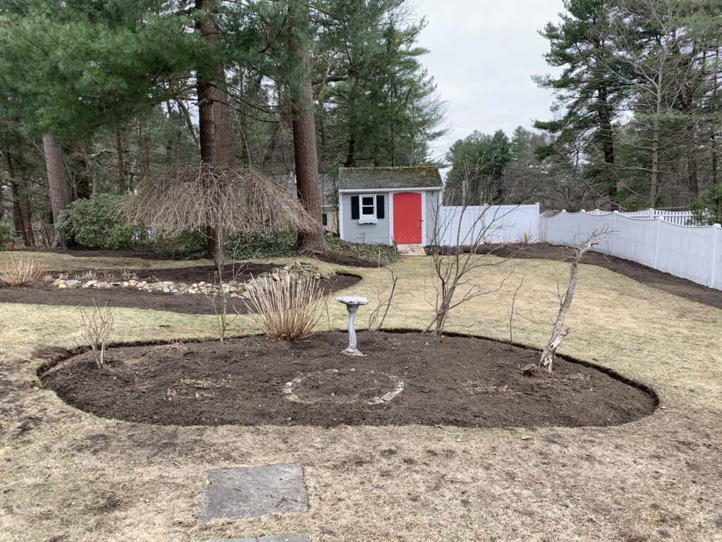 A small backyard with a tree and bushes.