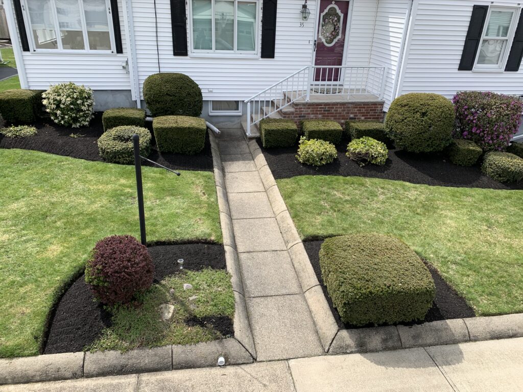 An aerial view of a lawn with bushes and shrubs.