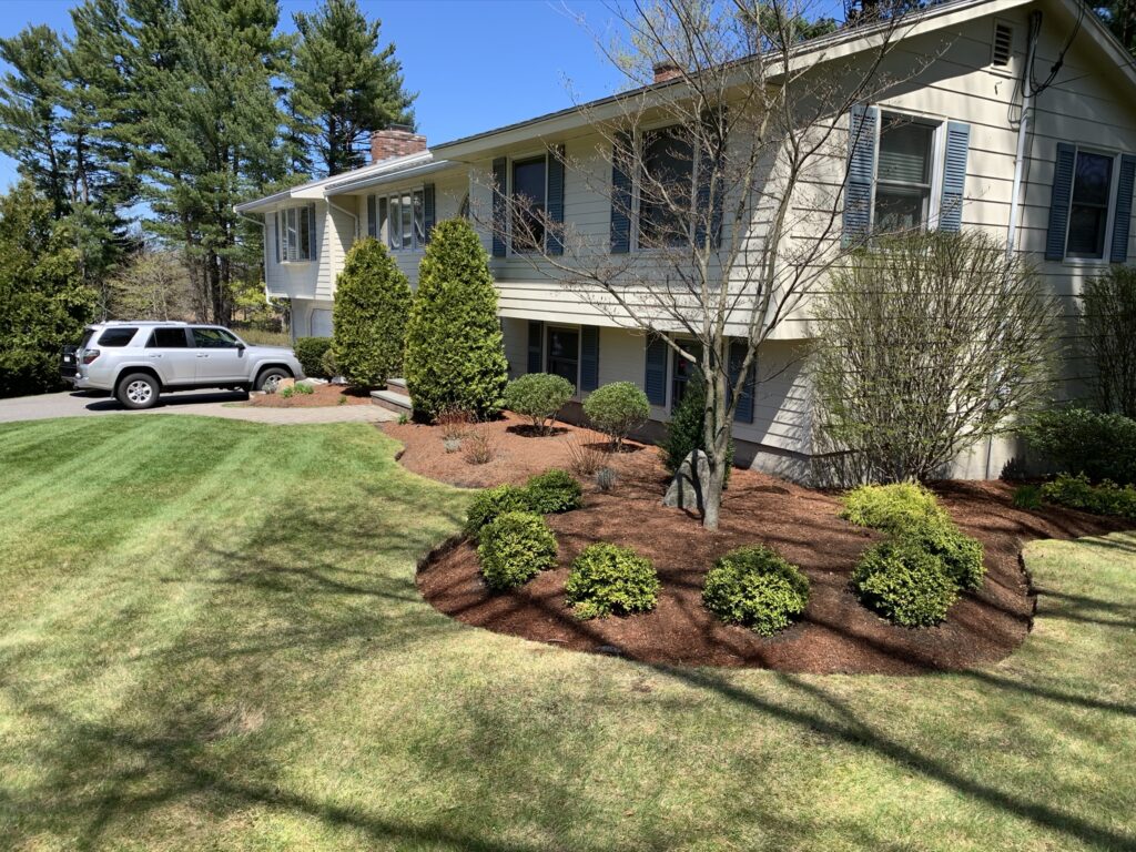 A front yard with bushes and shrubs.