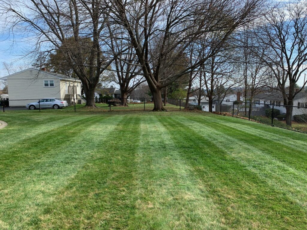 A lawn with a car parked in the middle of it.