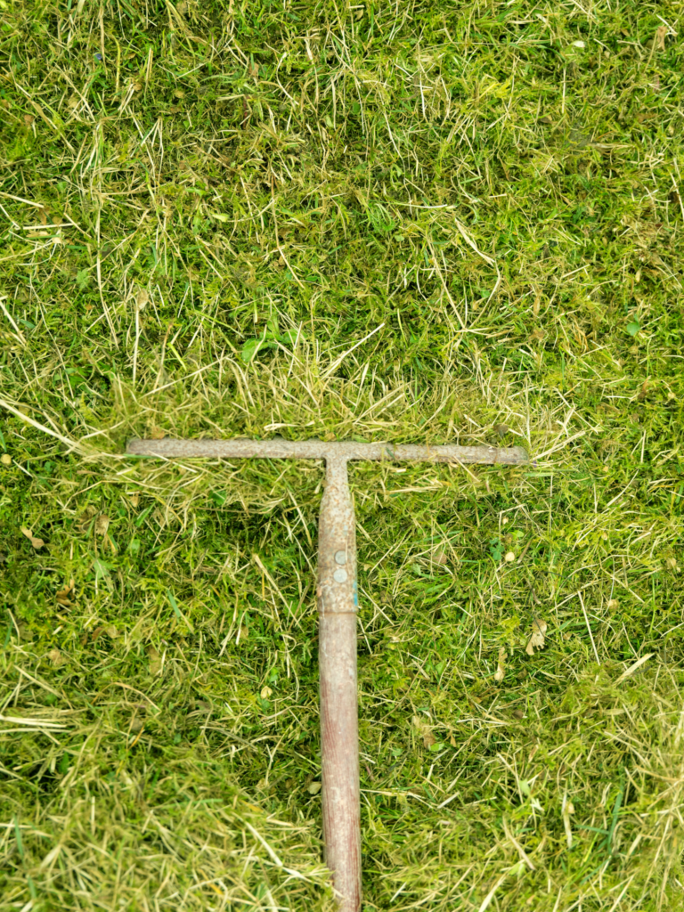 A wooden rake is laying on top of grass.