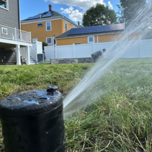 A black sprinkler is spraying water on a lawn.