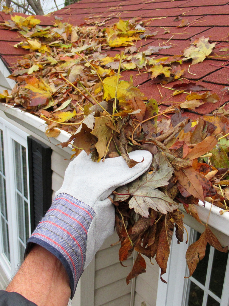 A person is removing leaves from a roof.