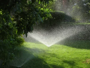 water sprinkler grass