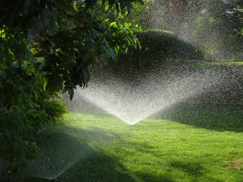 water sprinkler grass